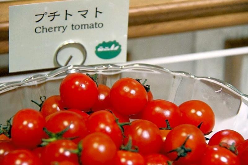 Shinkoiwa Park Hotel Tokyo Eksteriør billede